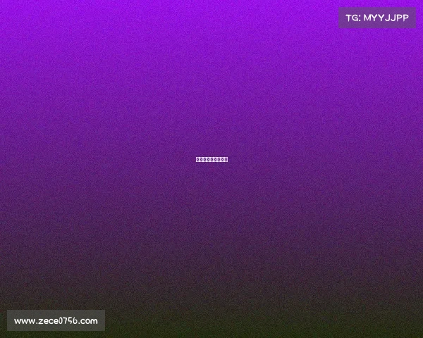 星途之星总决赛名单